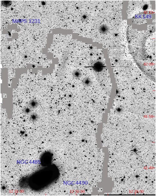 The high-contrast image of the interacting galaxy pair NGC 4490/85 and their dwarf satellites KK 149 and MAPS1231+42 from the DESI Legacy Imaging Survey. The image size is 39′ × 30′, corresponding to 101 × 78 kpc at the adopted distance of 8.91 Mpc. North is up, East is left, red numbers indicating the right ascension and declination. The sequence of grey squares represents the faintest (light-blue) contour of the H i-envelope around the interacting pair according to fig. 1 in Liu et al. (2023). Their size corresponds to the dimension of the H i-pixels. The elongated low-contrast Plume under consideration is located 8′ to the North–North-East from the image centre. The large oval structures on the upper right side of the figure are due to reflection from a bright star outside the image.