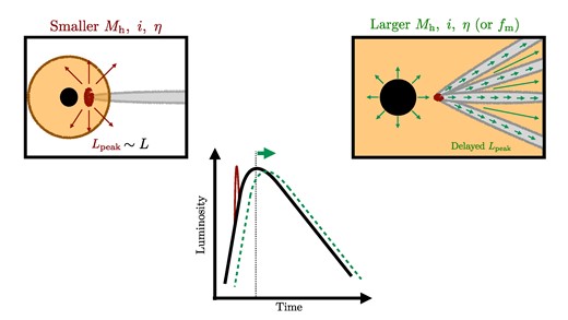 Schematic representation of both extremes of the impact of the surrounding stellar stream on TDE light curves. Models with Mh ∼ 106 M⊙, and η ∼ 0.01 show light curves with an early sharp peak due to the interaction of the wind and the innermost part of the stream. Models with Mh ≳ 107 M⊙, i ∼ 90°, and η ∼ 0.1 generate light curves whose peaks are delayed 50–100 d depending on the properties of the event and line-of-sight angle. This is a result of the tidal stream covering a large solid angle that attenuates and blocks the radiation of the event, especially during the initial rising phase.