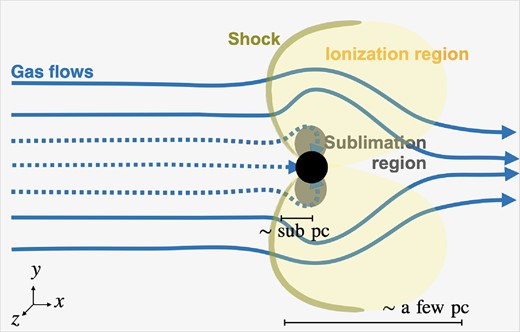 A schematic picture of a gas flow around a BH. We show a case with an edge-on radiation field. The BH floats in the interstellar medium. The filled circle represents the sink region. The solid and dotted lines show streamlines that pass through or accrete to BH. The shapes of ionized and dust sublimation regions are different in the models with isotropic and pole-on radiation fields.
