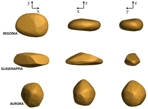 Model particles used in the dynamical calculations in Moreno et al. (2022). On the top row of panels, BEGONIA shape model particle, having a flattened shape, on the middle row GLASENAPPIA shape model particle (elongated), and on the bottom row, AURORA shape model particle displaying a rounded shape. Approximate outer dimensions of the particles relative are (1.00 × 0.72 × 0.36), (1.00 × 0.43 × 0.36), and (1.00 × 1.09 × 1.14), respectively.