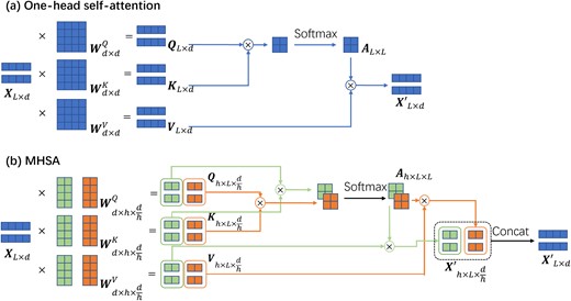 A schematic illustration of the self-attention mechanism within Transformer models and its capability for extracting long-range information. The top panel depicts a basic single-head self-attention mechanism. In this setup, the input is duplicated into three copies, each subjected to distinct linear transformations defined by the learnable matrices $\boldsymbol{W}^Q$, $\boldsymbol{W}^K$, and $\boldsymbol{W}^V$. Two of these copies, $\boldsymbol{Q}$ and $\boldsymbol{K}$, are used for an inner dot product to compute similarities between different timestamps. These computed attention values are subsequently merged with the remaining $\boldsymbol{V}$ copy to produce a new representation of the input sequence. The bottom panel showcases an extension to multihead self-attention (MHSA). While retaining the same number of learnable parameters, MHSA partitions the linear transformations into separate blocks. The cross-matching between these blocks enables the capture of diverse correlations within sequences, accommodating different types of relevancy, such as varying time-scales.