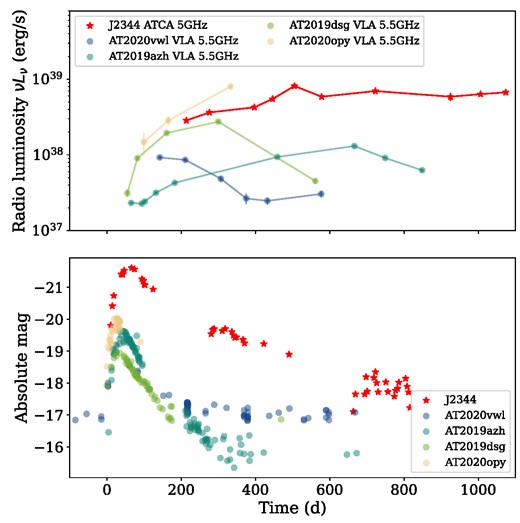 Top: Radio luminosity of J2344 (red stars) and a selection of other radio-detected TDEs with good light curve coverage. Bottom: Optical ATLAS c-band light curve of J2344 (Homan et al. 2023) and Gaia g-band light curves of the same selection of TDEs, converted to absolute magnitude. The ATLAS data are extracted from different imaging. All Gaia light curves were obtained from the Gaia photometric science alerts data base (http://gsaweb.ast.cam.ac.uk/alerts; Gaia Collaboration et al. 2016)). Times on the x-axis have been scaled to the approximate onset of the optical rise for each event. The flatter radio decay of J2344 may be due to a flatter density distribution in the central regions of the host galaxy.
