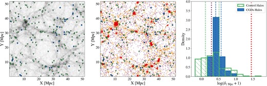 Locations of CGDs in the large-scale structure of TNG50-1. Left: Projected halo density along the z-axis of the simulation. High-density regions are shown as darker shades of grey, while low-density regions are shown as lighter shades. Haloes hosting CGDs and control haloes are shown as blue circles and green triangles, respectively. Centre: Projected position of galaxies along the z-axis of the simulation. Each point represents a galaxy, colour coded by its local galaxy density contrast (δ1 Mpc). Purple points are galaxies in the sparsest regions (1st δ1 Mpc quartile), red points are galaxies in the densest regions (4th δ1 Mpc quartile), and orange points are galaxies in regions with densities in between (2nd and 3rd δ1 Mpc quartiles). The quartiles are defined from the δ1 Mpc distribution of all galaxies in TNG50-1 with $M_{\ast } \ge 10^7 \ \rm M_\odot$. The colours of the triangles and circles are as in the left panel. Right: Histogram of local galaxy density around galaxies. Host haloes of CGDs are represented by blue, and control haloes by green. Blue and green vertical dashed lines are the 25th and 75th δ1 Mpc percentiles within each of the halo samples. Thick vertical dotted lines represent the 25th (violet) and 75th (red) percentiles of the whole galaxy sample in TNG50-1. The most massive galaxies of CGD and control haloes represent respective parent haloes in all panels of this figure.
