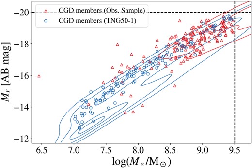 Stellar mass (M*) versus r-band absolute magnitude (Mr) of CGD members in observations and simulations at z ∼ 0. Blue circles represent galaxies in simulated CGDs from TNG50-1, while red triangles show galaxies in observed CGDs from SDSS. The distribution of the parent samples of galaxies in which CGD members were selected are shown as blue (TNG50-1, z = 0) and red (SDSS, 0.01 ≤ z ≤ 0.1) contours. These contours indicate Gaussian kernel density estimations, with five levels of density iso-proportions (0.05, 0.25, 0.75, and 0.95). The black dashed lines indicate upper limits of $M_\ast = 10^{9.5} \ \rm M_\odot$ and Mr = −20 adopted in the observational sample of CGDs (see Section 2.7).