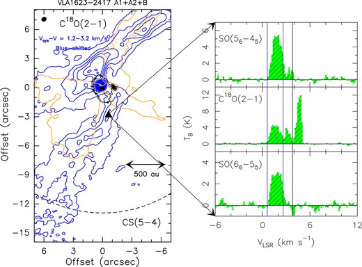 Left panel: The VLA1623–2417 southern molecular streamer as traced by the C18O(2–1) emission at velocities blue-shifted by 1.4–3.2 km s−1 with respect to Vsys = + 3.8 km s−1. The velocities are those tracing, in C18O, the blue-shifted streamer (see the text). First contours start from 5σ (30 mJy km s−1 beam−1) with intervals of 3σ. Right panels SO(56–45), C18O(2–1), and SO(66–55) spectra (in brightness temperature, TB, scale) derived at the position (–0${_{.}^{\prime\prime}}$7,–3${_{.}^{\prime\prime}}$0) associated with the streamer, and marked with a triangle in the Left panel. The vertical lines at 3.8 km −1 are for the systemic velocity, while the other vertical lines delimit the velocities of the C18O used to obtain the image of the southern streamer shown in the Left panel.