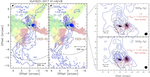 The VLA1623-2417 A1+A2+B system as traced by SO(56–45) (Left panel), and SO(66–55) (Middle) emission blue-shifted by 1–6.6 km s−1 and red-shifted by 1–2.5 km s−1 (labelled LV, see Fig. 3) with respect to the systemic velocity of the triple system of +3.8 km s−1 (Ohashi et al. 2022). For sake of clarity the contours of the red-shifted spatial distribution are reported only in the zoom-in in the right panels. The position of the A1+A2, and B protostars are labelled. The dashed circles delimitate the FWHM field of view of the ALMA image: 26 arcsec for SO(56–45), and 22 arcsec for SO(66–55). The synthesized beam (top-left corners) are 0${_{.}^{\prime\prime}}$54 × 0${_{.}^{\prime\prime}}$45 (PA = –74°), for SO(56–45), and 0${_{.}^{\prime\prime}}$47 × 0${_{.}^{\prime\prime}}$45 (PA = + 86°), for SO(66–55). First contours of both the SO maps start from 5σ (25 mJy km s−1 beam−1, blue, 15 mJy km s−1 beam−1, red) with intervals of 10σ. Colour image represents the moment 1 spatial distribution of the molecular cavity as traced by CS(5–4) by Ohashi et al. (2022): the cavities are rotating with the red-shifted emission coming from the southern arms, while the blue-shifted emission (here in green to avoid confusions with the SO blue contours) associated with the northern arms. In black we plot selected contours from the high spatial resolution (∼ 0${_{.}^{\prime\prime}}$2) continuum (0.9 mm) ALMA map by Harris et al. (2018) to pinpoint the positions of A1, A2, and B.