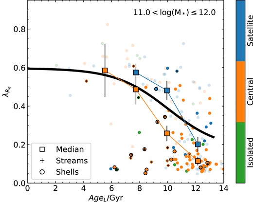 The relation between $\lambda _{R_{\rm e}}$ and AgeL for SAMI galaxies at log (M*/M⊙) > 11, indicating galaxies that show evidence of tidal streams (black crosses) or shells (black circles) in deep imaging (Rutherford et al. 2024). Points are colour-coded by environmental class with the galaxies analysed by Rutherford et al. shown by bright points and those that were not analysed being faint. The large square points show the median spin in age bins and the black solid line is the median relation for all galaxies in our full sample (identical to that shown in Fig. 3g).