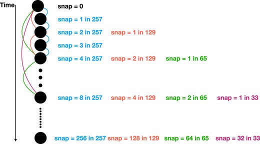 An example of constructing merger trees with varying time intervals: using the whole 257 snapshots, we create the Mini-Hyper-257, represented by the blue lines. By skipping half of the snapshots, we construct the Mini-Hyper-129, shown by the red lines. Continuing this pattern, we skip half of the Mini-Hyper-129 snapshots to generate the Mini-Hyper-65 (green lines). We employ a similar methodology to generate merger trees with fewer snapshots, Mini-Hyper-33 (purple lines).