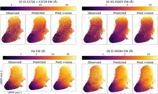 A test of line prediction accuracy across the observed parameter space (continuum flux ratios and luminosity around 6250 Å). The panels show positions of SV3 blind test set objects in a 2D UMAP embedding which remaps the same quantities used to predict emission lines. We emphasize that the same projection is used for all the panels, and the resulting 2D space does not have physical meaning. Each point is colour coded according to the EW for a given emission line. We plot the observed EWs, the EWs predicted by JAX-NN, and the predictions with noise added in separate panels. The corresponding plots for the remaining lines listed in Table 1 but not shown here closely resemble the results for H α (up to a normalization of EWs). Predicted EWs only follow the continuous trend of observed EWs. Some of the observed variation around this trend is recovered when noise is added to the predictions, but the remaining variation, which is due to intrinsic scatter in the continuum–emission line relation, is not captured by our method.