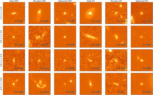 A subset of the images of galaxies used in this work, the image cut-outs were derived using the pipeline, outlined and described in detail in (Ormerod et al. 2024). The images are ordered in increasing redshift from the top row downwards. The columns show an example of each morphology, in each redshift bin. (SF)/(P) denotes those that have been defined as star-forming/passive in the study of the main sequence. Each cut-out has a resolution of 0.03”” per pixel, and are constructed such that the background of each is scaled equally, for direct comparison. More examples are discussed and presented in Ferreira et al. (2023).