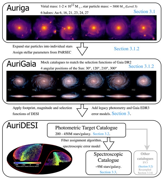 Schematic summary of the data sets discussed in this paper and their relationship to one another, with the corresponding sections indicated. Our work is based on the Auriga simulations (top panel) and the AuriGaia mock catalogues (middle panel). Here, we present AuriDESI (bottom panel) which comprises, for each Auriga galaxy, a mock photometric target catalogue (corresponding to stars that DESI is able to observe), and a mock spectroscopic catalogue (a realization of the final DESI MWS data set, including an error model for spectroscopic observables such as radial velocity and metallicity). In practice, we provide four sets of catalogues for each galaxy, corresponding to the different Solar positions used for the AuriGaia catalogues. We also provide supplementary catalogues to address the MWS SV3 data set and differences in the relative density of different DESI target classes between Auriga and the real Milky Way (‘resampled’ spectroscopic catalogues). The figure in the middle panel is taken from Grand et al. (2018b).