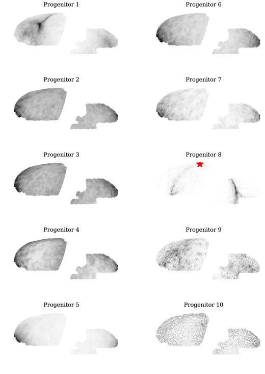 Distribution of stars from the 10 most massive progenitors in equatorial coordinates in the Au 6 AuriDESI mock catalogue. Clear stellar substructures are visible for some progenitors. The red star marked on progenitor 8 represents the position of its bound satellite remnant (see Section 5.3).