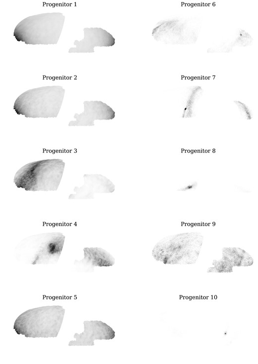 On-sky density distribution of stars from 10 most massive progenitors in the Au 21 AuriDESI mock catalogue. The densest regions typically correspond to the position of the remnant of the main body of the progenitor satellite.