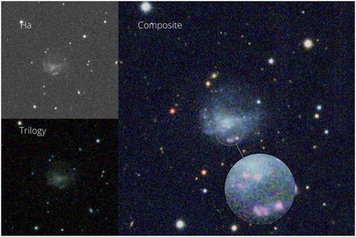 Example of composite image inspected in Zooniverse. Upper left panel: $J0660$ narrow-band image. Bottom left panel: $RGI$ coloured image. Right panel: $RGI$ + H$\alpha$ image. The central galaxy is NGC1437A from the Fornax cluster, classified as JClass 3. The zoomed inset highlights the pink clumps denoting star-forming regions for visual clarity.