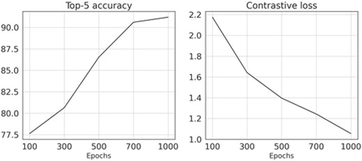 Averaged top-5 accuracy and contrastive loss, across the three folds, for the optimal hyperparameters (learning rate = $10^{-4}$, weight decay = $10^{-4}$, and temperature = 0.05), obtained during hyperparameter tuning of the self-supervised pre-training, as a function of the number of epochs.