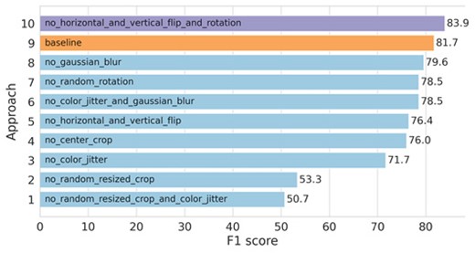 Classification F1 scores under various omission combinations of data augmentations. The labels on each bar describe which augmentations were removed from the pipeline. For example, no_horizontal_and_vertical_flip_and_rotation means that horizontal flip, vertical flip, and random rotation augmentations were removed. The "baseline" approach is the second bar from the top.
