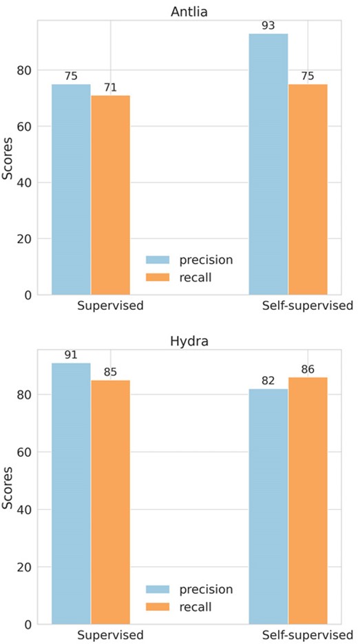 Macro-averaged precision and recall scores for supervised and self-supervised approaches when testing on galaxy images from the Antlia and Hydra clusters.