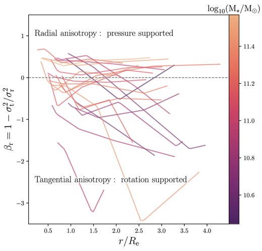 The anisotropy of the models shown as a function of radius and coloured by stellar mass. Each line represents a MAGPI galaxy, plotted between the PSF FWHM in kpc and the maximum kinematic extent of the data. The median error on the anisotropy at 1$R_{\mathrm{e}}$ for the sample is 0.11, with a maximum error of 0.24. The horizontal line at an anisotropy of zero shows the boundary between pressure and rotation supported systems. Massive systems tend to have radial anisotropy that is approximately constant with radius or mildly increasing, however many systems also exhibit decreasing anisotropy profiles. At 1 $R_{\mathrm{e}}$ the typical error is 0.11. The two objects with the steep profiles and tangential anisotropy at large radii are MAGPI objects 1 207 197 197 and 1209131247.