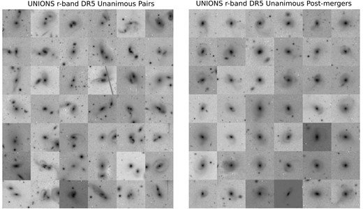 Examples of merger candidates in UNIONS DR5 with Mummi. We show 42 randomly selected pairs (left) and 42 post-mergers (right) from the unanimous sample of merger candidates in the UNIONS DR5-SDSS DR7 overlap sample. All displayed galaxies unanimously received 20 votes in STEP1, with STEP2 further categorizing them into the two panels shown. The pairs predominantly feature interacting morphologies with multiple sources, often accompanied by tidal features. Conversely, post-mergers are generally isolated galaxies exhibiting clear distortions in their light profiles, including tidal features, shells, and warped spiral arms.