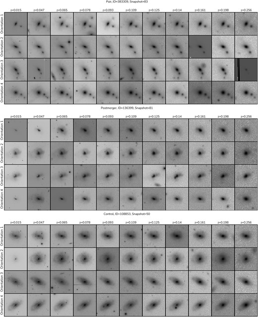 UNIONS r-band mock observations from IllustrisTNG galaxies. Shown are three examples of galaxies in our Cfis-Tng mock data set, one for each type in the sample, pre-merger (top, ID=383309), post-merger (middle, ID=136399), and control (bottom, ID=108853). Each galaxy is post-processed in 80 different realizations, in four orientations and 20 different redshifts. Here, we show a subset of 44 of them. A new region of the UNIONS r-band tileset is used for the realistic background of each realization, introducing variability into the mocks, including projection effects, stars, and artefacts similar to what is found in the UNIONS r-band reductions. The redshift range from $z=0.015$ to 0.256 also give us variable depth due to cosmological dimming effects.
