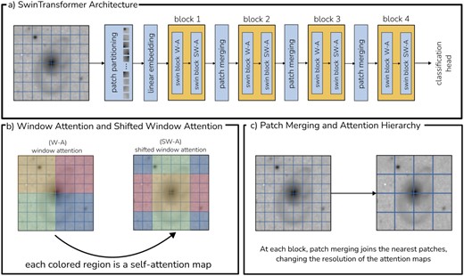SwinTransformer architecture schematic. We show the general structure of the SwinTransformer architecture we adapted for single-band imaging in panel (a), outlining its main components. Panel (b) exemplifies the window attention and shifted-window attention that is embedded in each of the Swin blocks, and panel (c) illustrates the patch merging step between the blocks, where patches are merged together to form larger ones, resulting in lower resolution attention maps.