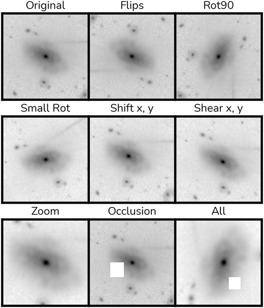 Data augmentation pipeline. We show all possible steps in our on-the-fly data augmentation pipeline; starting from the original image (top left), we apply each augmentation with a 70 per cent probability, including random vertical and horizontal flips, 90 deg rotation, small angle rotations, centre shifts, image shear distortion in both axis, zoom, and occlusions. The last panel (bottom right) shows an example of the final result of all these augmentations applied together. In practice, however, the augmentations applied will depend on the probabilities, making each image used by the training unique.
