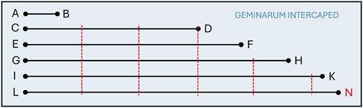 Adaptation of Hodierna’s separations drawings. Each segment corresponds to an angular separation. The vertical lines are 1 arcmin ticks. The N denotes a typographical error (the segment LN is referred in Hodierna’s book as LM).