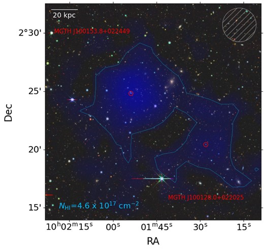 Example of the FAST-H i detection, with the blue halo of the interpolated H i moment-0 map overlaid on DECaLS (Dey et al. 2019) false colour image, where the contour (light blue line) with a column density of 4.6 $\times \ 10^{17}$ $\mathrm{cm}^{-2}$ is $\sim$1.5 times the local noise level on the moment-0 map. The red circles denote the MIGHTEE-H i detections with their names labelled. The hatched grey circle on the upper right corner shows the FAST beam size of 2.9 arcmins.