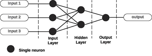 ANN architecture.