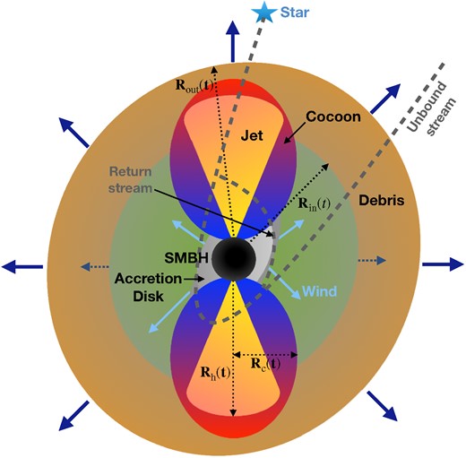 Schematic diagram showing the evolution of the expanding aspherical debris (in brown), the relativistic jet and the mildly relativistic cocoon, and low density wind-bubble region (in greyish green colour) post the tidal disruption of a star by the SMBH (in black) and the formation of an accretion disc (in grey). The inner/outer radius of the debris $R_{\rm in}(t)/R_{\rm out}(t)$, the jet-head radius $R_{\rm h}(t)$, and the cocoon radius $R_{\rm c}(t)$ are also labelled. The figure corresponds to the time snapshot at time T, where $t_{\rm coc}\lt T\lt t_{\rm br}$ or $t_{\rm coc}\lt T\lt t_{\rm fin}$, when the jet interacts with the debris (in brown) to form a cocoon (in blueish red). Note that $t_{\rm coc}$ is defined as the time when the cocoon is formed, $t_{\rm br}$ represents the time when the jet breaks out of the debris, and $t_{\rm fin}$ is the time until which the system is evolved. The trajectory of the unbound stream and the return stream are also shown with dashed dark grey lines.