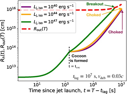 Time evolution of the jet-head position $R_{\rm h} (t)$ (solid lines) and outer radius of the wind-driven debris $R_{\rm out}(t)$ (red dashed line). The evolution of jet-head position is shown for different values of $L_{\rm j,iso}$, where $L_{\rm j,iso} = 10^{40}\, {\rm erg\, s}^{-1}$ (purple curve) and $L_{\rm j,iso} = 10^{44}\, {\rm erg\, s}^{-1}$ (orange curve) jets are choked within the wind-driven debris, but the $L_{\rm j,iso} = 10^{47}\, {\rm erg\, s}^{-1}$ (green curve) jet breaks out. The time at which the jet-head reaches the inner radius of the wind-driven debris is shown by the black dashed line. The evolution is terminated once the jet breaks out or $t_{\rm fin}$ is reached.