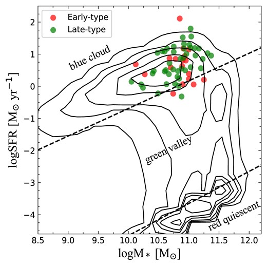 Relation between star formation rate and stellar mass for AGN. The red dot is early-type galaxies, and the green dot is late-type galaxies. The contour is the sample of Chang et al. (2015). The two dashed lines divide galaxies into blue galaxies (star-forming) and red galaxies with the green valley galaxies located between them.