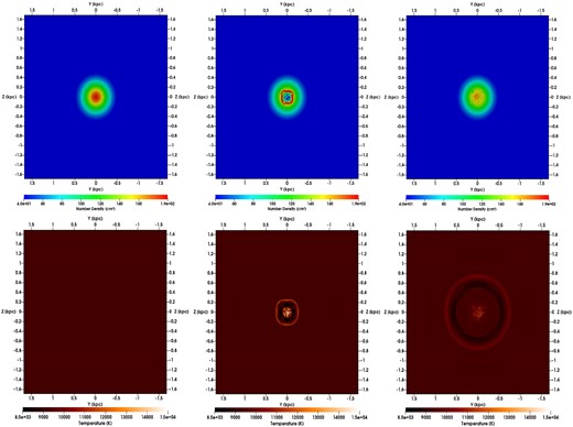 Cut in the $x = 0$ plane for the gas density (top) and gas temperature (bottom) of the gas at t = 0 Myr (left), 3 Myr (centre), and 12 Myr (right) for the simulation SNcenterT0.