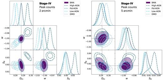 Cosmological constraints of $S_8$, w, and $\Omega _m$ based on the peak counts with ‘Case 1’ fid-AGN data vector. Left: Results obtained for convergence maps smoothed with a Gaussian kernel of 2 arcmin smoothing scale. Right: Results with a Gaussian kernel of 5 arcmin smoothing scale. Dashed line denotes the input true cosmology. The three baryonic feedback models and dark matter-only model are depicted with dashed contour lines. The BMA result, shown with solid contour lines, combines all baryonic feedback models and successfully recovers the true cosmological parameters. The contours show 68% and 95% credible intervals.