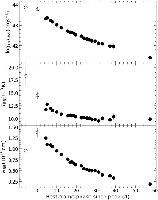 The bolometric light curve (top), blackbody temperature (middle), and blackbody radius (bottom) of SN 2023tsz over all observational epochs. For the epochs that only have g-band observations, the markers are unfilled.