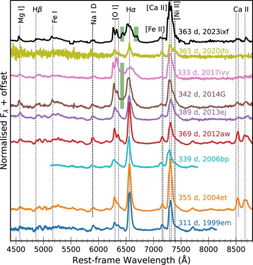 Comparison of the +363 d spectrum of SN 2023ixf with similar epoch spectra from the comparison sample. Interaction signatures in SNe 2014G, 2017ivv, and 2023ixf are highlighted with bands.
