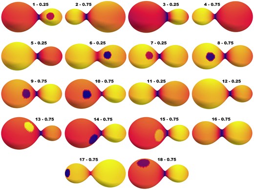 3D view of stars at phases 0.25 or 0.75. The numerals above the 3D representation of each system show the phase on the right and the star’s name on the left. The proper phase has been chosen in order to display the starspot that some target systems possess. The colours are based on modelling to show the temperature distribution on the surface of the star, and the darker the colour, the lower the temperature.
