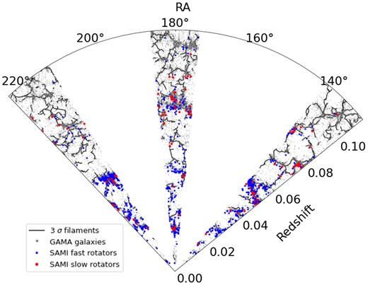 Projected network of cosmic filaments (blue lines) for the GAMA G09, G12, and G15 regions. Grey points are the 35 882 GAMA galaxies used to reconstruct the spine of the cosmic web, blue points are 976 SAMI FRs, and red points are 118 SAMI SRs.