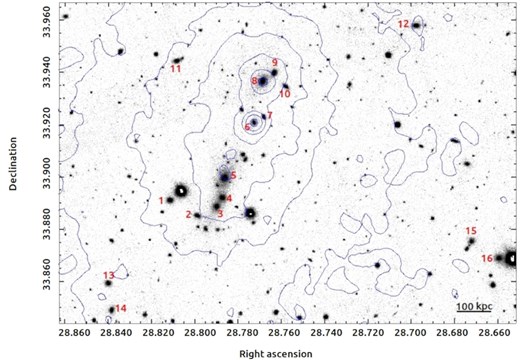 Pan-STARRS I-band image of Abell 272 with XMM–Newton X-ray contours for the 0.4–7.0 keV band. 16 cluster members are numbered following Sargent (1972). The brightest galaxies lie predominantly along an NNW–SSE axis that is aligned with the X-ray elongation.