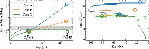 Left panel: stellar mass as a function of age of the most massive star in the RMHD run, extrapolated beyond the period simulated using three distinct accretion histories. Cases A, B, and C represent progressively steeper (and likely more realistic) decline in accretion rates over time (see Section 4 for details). Diamonds and circles mark the age at which the star reaches zero-age main sequence (ZAMS) and terminal age main sequence (TAMS), respectively, in the MESA calculations. The TAMS masses suggest all the three cases lead to the star ending its life as a black hole. Grey-shaded region denotes stars that will explode as pair-instability supernovae (PISNe). Dashed green curve marks the growth of the star in the RHD simulation extrapolated using Case C. Right panel: HR diagram of the star in the RMHD simulation as it evolves on the main sequence under the three cases presented in the left panel.