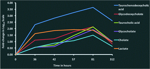 Changes in the concentration of bile acids and lactate in milk after intramammary challenge with Streptococcus uberis. Fold-changes for each metabolite at 36, 42, 57, 81 and 312 hours post-challenge compared with 0 hours post-challenge were analysed using a one-way ANOVA. The time course profile of fold-changes shows the increasing concentration of bile acids and lactate over the course of the infection, reaching highest levels at 81 hours post-challenge, and then dropping down to pre-infection levels at 312 hours. This figure shows fold-change in log10 scale.
