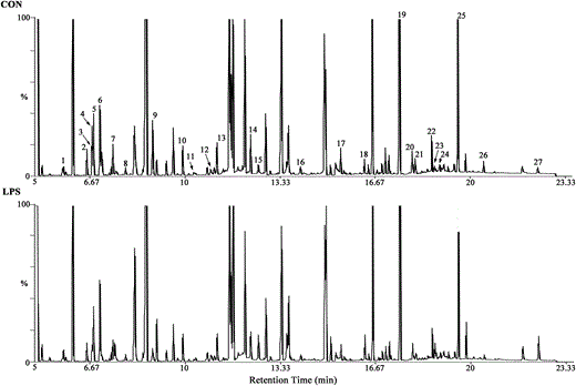 Representative GC-MS total ion chromatograms (TIC) of the CON group and LPS group. Corresponding peaks indicating differentially expressed metabolites based on retention time are marked with Arabic numbers. (1) 3-Aminoisobutanoic acid; (2) epsilon-caprolactam (ε-caprolactam); (3) l-histidine; (4) l-alanine; (5) hydroxylamine; (6) N-methylhydantoin; (7) gamma-aminobutyric acid (GABA); (8) urea; (9) l-proline; (10) l-threonine; (11) l-aspartic acid; (12) l-glutamine; (13) niacinamide; (14) l-cysteine; (15) succinic acid; (16) l-dopa; (17) hypoxanthine; (18) phytosphingosine; (19) myo-inositol; (20) synephrine; (21) pipecolic acid; (22) l-tryptophan; (23) vanillylmandelic acid; (24) gentisic acid; (25) inosine; (26) guanosine; and (27) adenosine 5′-monophosphate (AMP). CON, control group; LPS, LPS-induced depressed group.