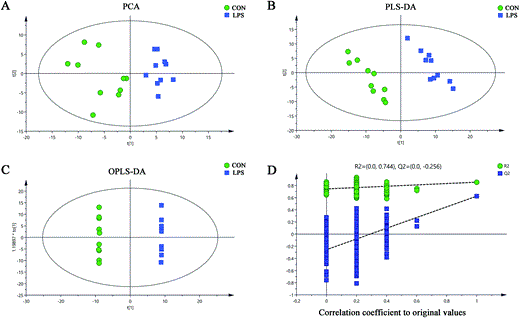 Multivariate statistical analysis based on GC-MS spectral data of hypothalamus samples obtained from LPS mice and controls. The GC-MS spectral data were introduced into SIMCA-P 14.0 (Umetrics, Umeå, Sweden) for principal component analysis (PCA), partial least squares-discriminant analysis (PLS-DA), and orthogonal partial least squares-discriminant analysis (OPLS-DA). (A) PCA was carried out to investigate whether the LPS-induced depressive group (LPS, blue diamonds) can be separated from the control group (CON, green dots) and to discern their metabolic distinctions by visual inspection of score plots. (B and C) PLS-DA and OPLS-DA, two multivariable statistical methods, were performed to sharpen the already established separation between the groups plotted in PCA, respectively. (D) Statistical validation of the OPLS-DA model by permutation tests with 200 random permutations. CON, control group; LPS, LPS-induced depressed group.