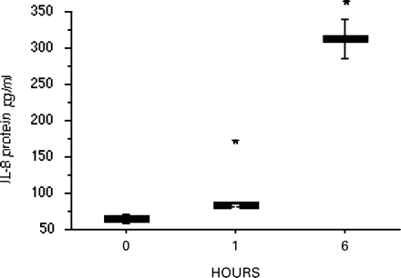 The effect of stretch upon IL-8 protein release into the medium of stretched myocytes collected before labour. IL-8 protein release increased at 1 and 6 h of stretch at 11% (*indicates P<0.05). Data are shown as mean (±SEM).