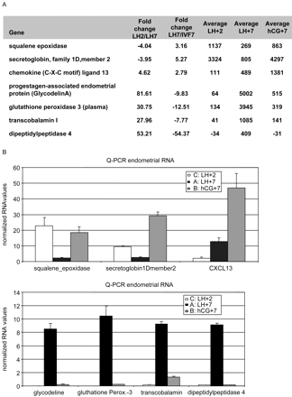 Confirmation of the microarray data by Q-PCR. (A) Microarray gene expression values for each of the seven selected genes and the fold changes between the LH+2/LH+7 and LH+7/hCG+7 samples. (B) Normalized RNA values for the seven selected genes. Patient material was pooled per group. Capping protein was used for normalization purposes.