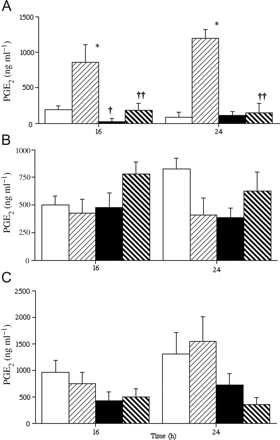 Output of prostaglandin E2 (PGE2) from fetal membranes from elective Caesarean section deliveries (A and B) or after normal term labour (C). Tissues in (A) show a non-activated pattern of PGE2 output (Brown et al., 1998), with low basal output that is increased by interleuki (IL)-1β. Tissues were cultured in 20% (□, ) or 3% (▪, ) oxygen, with (, ) or without (□, ▪) IL-1β at a concentration of 1 ng ml−1 for the time periods shown. All data are mean ± SEM (n = 3–5).