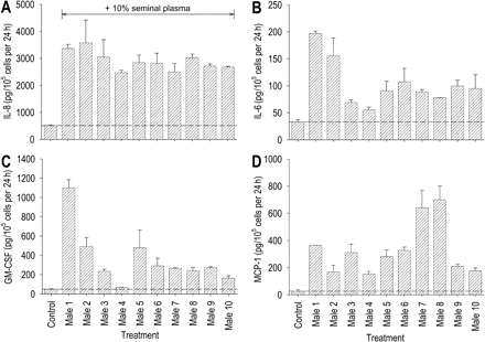 Between-individual variation in seminal plasma cytokine-stimulating activity in Ect1 ectocervical epithelial cells. Ect1 cells were cultured to confluence before adding culture media alone (control) or culture media containing 10% seminal plasma collected from each of 10 healthy, proven fertile men (male 1–male 10). Cytokine content was measured in the 24 h post-treatment supernatants by ELISA. Data are expressed as (A) IL-8, (B) IL-6, (C) GM-CSF or (D) MCP-1 output in pg/105 cells per 24 h. All measurements are the mean ± SEM of triplicate wells in each experimental group. The data shown are representative of two replicate experiments with the same seminal plasma preparations.