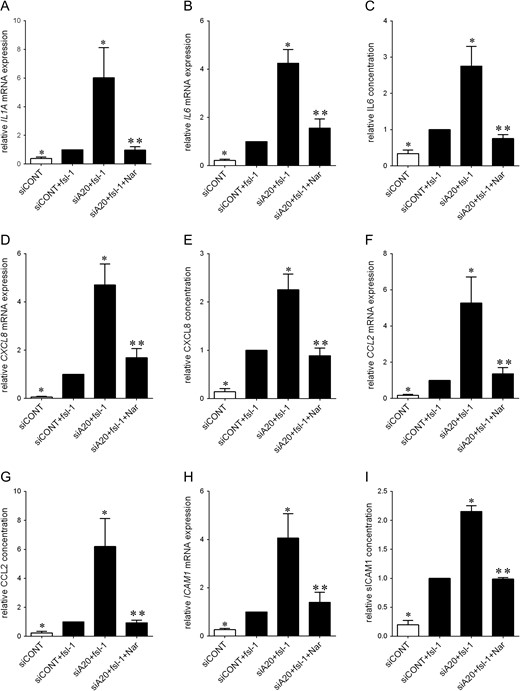 Effect of naringenin on fsl-1-induced expression of pro-labour in primary myometrial cells. Human primary myometrial cells were transfected with or without 50 nM siCONT or 50 nM siA20 for 48 h, and then treated with 250 ng/ml fsl-1 in the absence or presence of 400 μM naringenin for an additional 20 h (n = 5 patients). (A,B,D,F,H) IL1A, IL6, CXCL8, CCL2 and ICAM1 mRNA expression was analysed by qRT-PCR and the fold change was calculated relative to fsl-1-stimulated siCONT transfected cells. (C,E,G,I) IL6, CXCL8, CCL2 and sICAM1 concentration in the incubation medium was assayed by ELISA. The fold change was calculated relative to fsl-1-stimulated siCONT transfected cells. All data are displayed as mean ± SEM. *P < 0.05 vs. fsl-1-stimulated siCONT transfected cells (one-way ANOVA); **P < 0.05 vs. fsl-1-stimulated siA20 transfected cells (one-way ANOVA).
