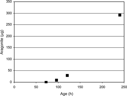 The increase in shell weight as a function of age as calculated from the number of voxels in the mineralized tissue (see also Table 1).