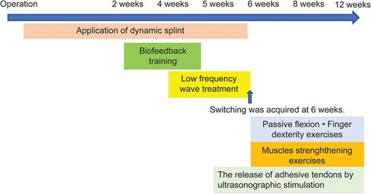 Detailed post-operative occupational therapy of Case 2.